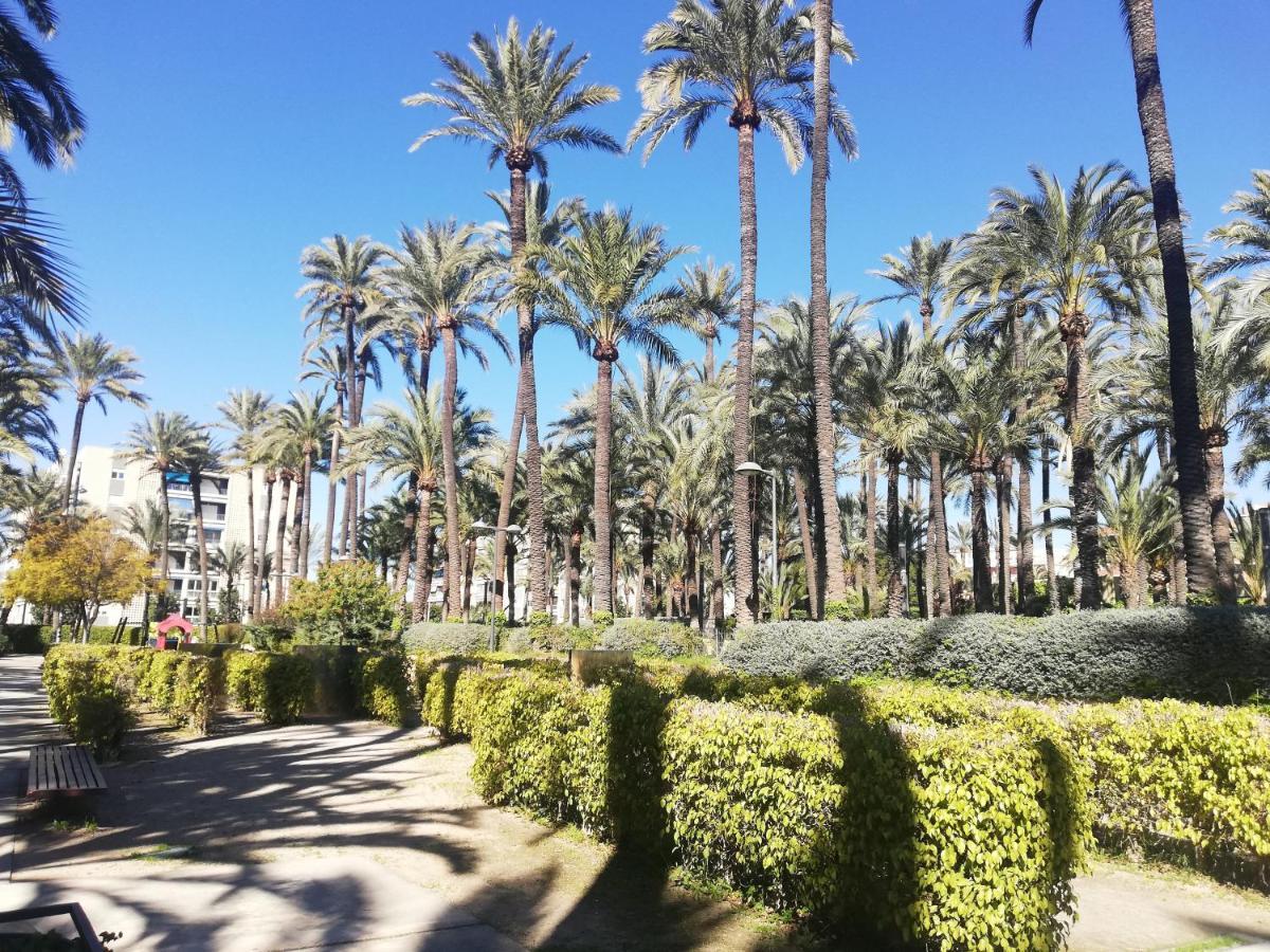 Santa Pola Salamanca 10 Apartamento, Garaje Subterraneo, Fibra Optica, Lavavajillas, Aire Acondicionado, Gran Terraza, Grand Playa 450M Eksteriør billede